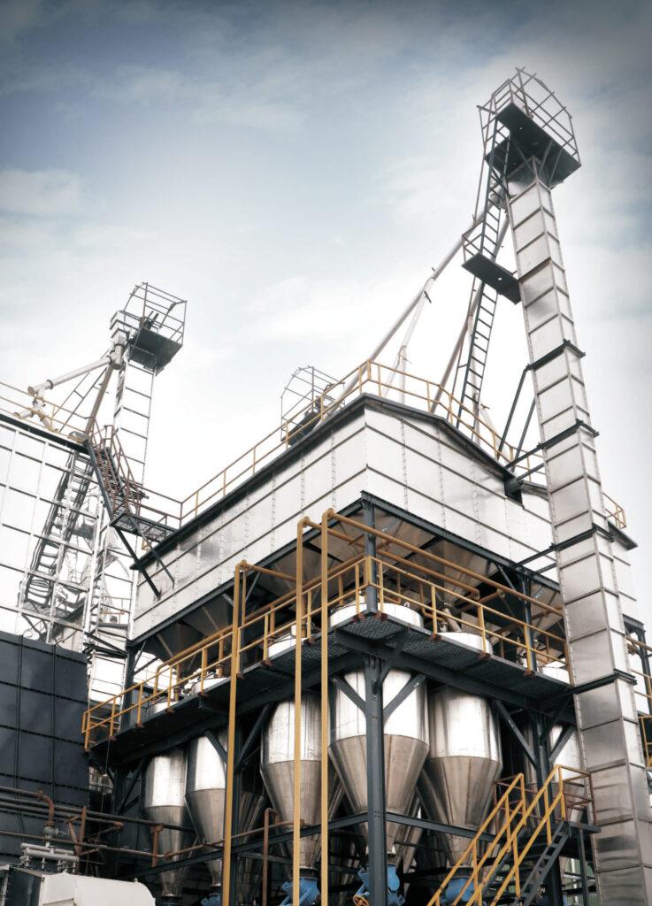 Paddy Storage Tips to Improve Rice Quality