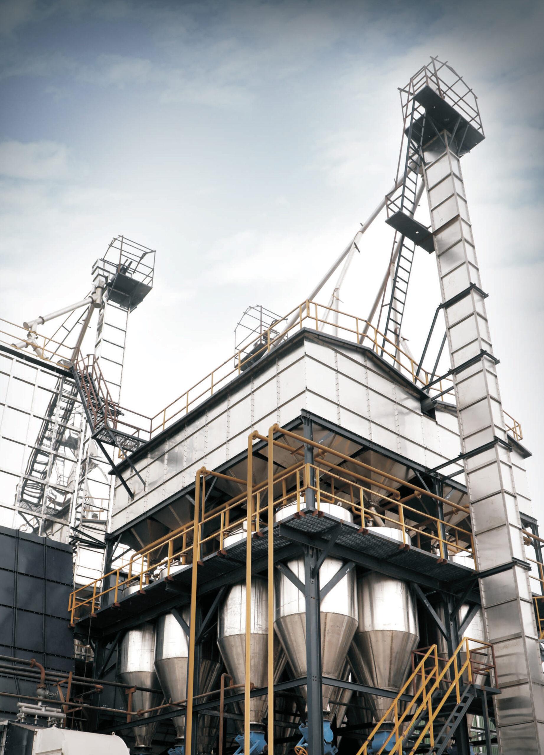 Paddy Storage Tips to Improve Rice Quality